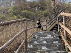 -北京山里寒舍度假酒店