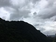 -老虎沟生态农场