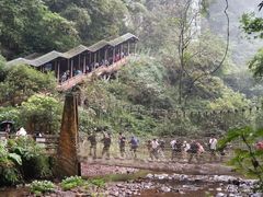 -碧峰峡风景区