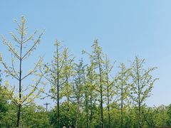 -东郊湿地公园