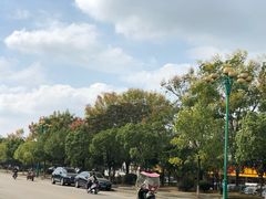 -宜城私房菜.臭鳜鱼(九华新街店)