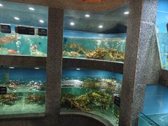 -欧记·龙城港(欣都店)