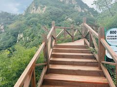 -大岭沟猕猴桃谷风景区