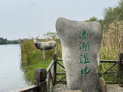 -溱湖国家湿地公园