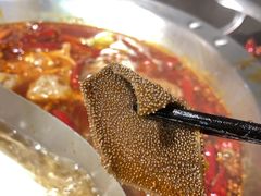 -锅说大脸毛肚重庆老火锅(佐阾店)