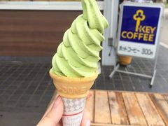 -富士山吉田線五合目