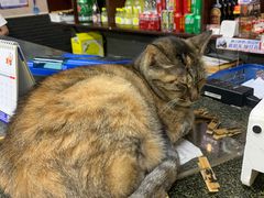 -协和菜馆(凤凰街店)