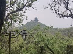 -杭州半山国家森林公园