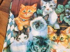 -李小姐の猫咖啡馆(五角场店)