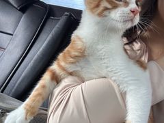 -瑞派申生动物医院·24H夜诊·国际动物医疗中心·骨外科(吴中路店)