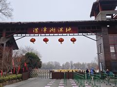 -泗洪洪泽湖湿地景区