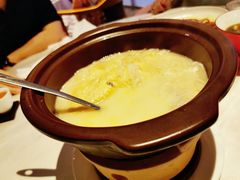 浓汤砂锅鸡煲翅-文兴酒家(晶品店)