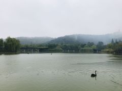 -上方山森林动物世界