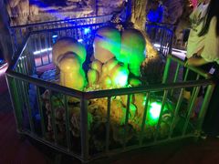 -泰安地下龙宫景区