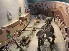 -陕西自然博物馆