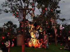 -七彩云南欢乐世界