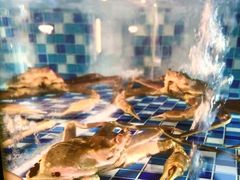 -碗中海·蒸汽海鲜·桑拿鸡(岭南天地店)