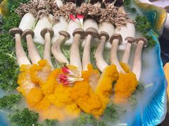 -慢丽江·云南野生菌土鸡锅(付家庄店)