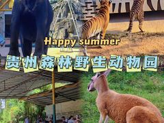 -贵州森林野生动物园