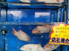 -蚝专家(北滘店)