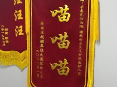 -半岛宠物医院24小时(科华中路店)
