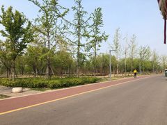 -南湖国家城市湿地公园