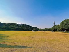 -羊山湖公园