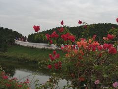 -迪茵湖田家舍生态农场