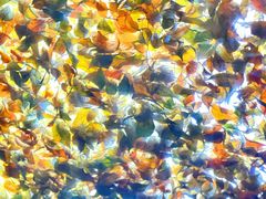 -VOYAGE COFFEE(北锣鼓巷店)