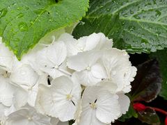 -常州古运河南大街文化旅游区-人民公园