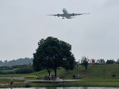 -空港花田景区