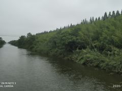 -黄海国家森林公园