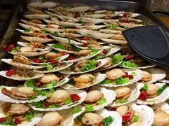 扇贝-日丰园海肠水饺·老字号大连海鲜(和平广场店)