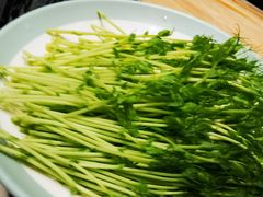 -大渔小鲜火锅店