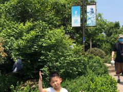 -杭州半山国家森林公园