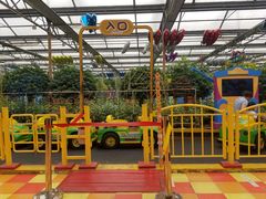 -南宫五洲植物乐园