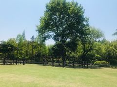 -瀛洲公园