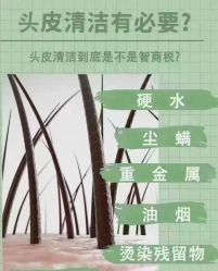 -诗碧曼养发