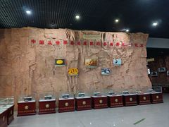-中国西峡恐龙遗迹园