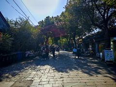 -邊城書店
