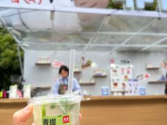 -陆家嘴中心绿地