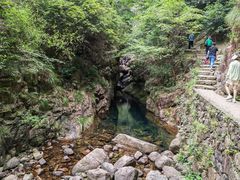 -大奇山国家森林公园