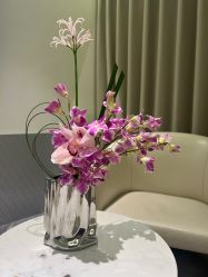 -明潪Selfology升维护理中心