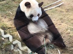 -泉州海丝野生动物世界