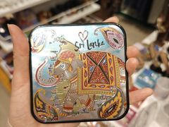 -班达拉奈克国际机场