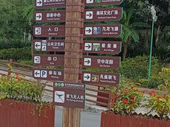 -西双版纳原始森林公园