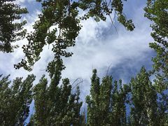 -艾提尕尔清真寺