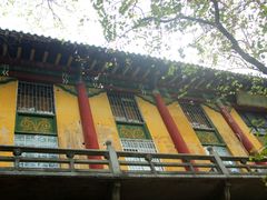 -中山大学学者灵芝(园南路店)