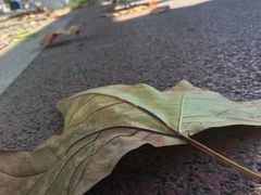 -东南大学(九龙湖校区)