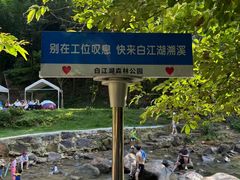 -广州白江湖森林公园